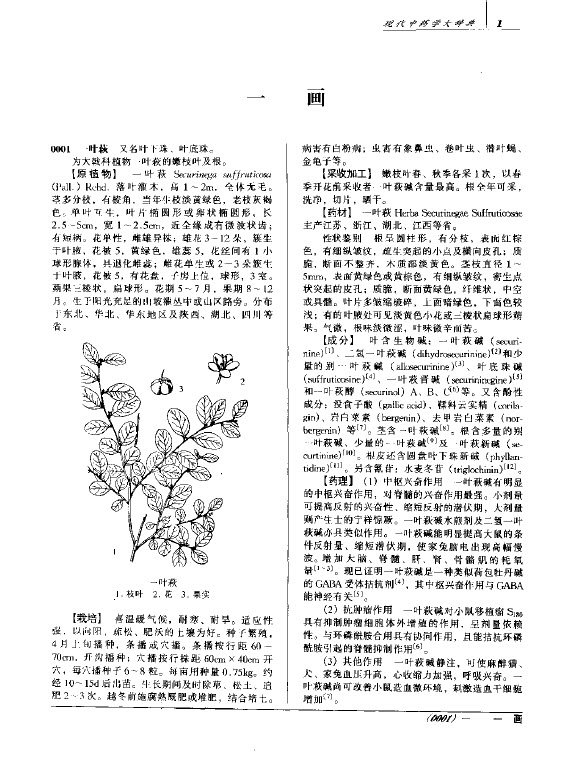 《现代中药学大辞典 (上、下册).pdf》(现代中药