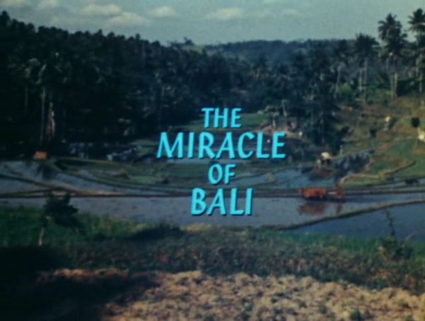 BBC.The.Miracle.of.Bali.Part2of3.Night.XviD.AC3.avi