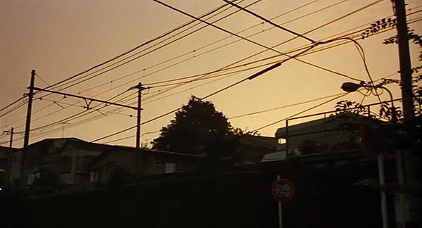 IPB Image