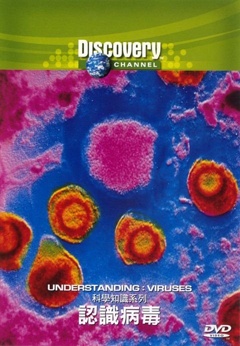 IPB Image