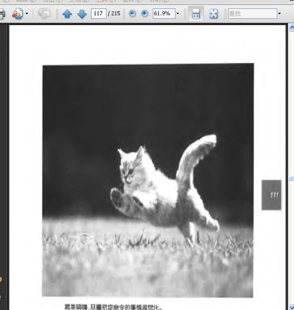 IPB Image