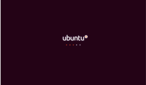 《linux操作系统》(ubuntu)10.04(cd&dvd)[光盘镜像]