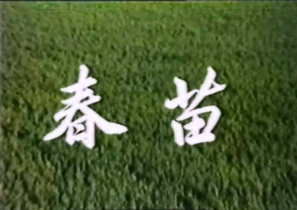 IPB Image