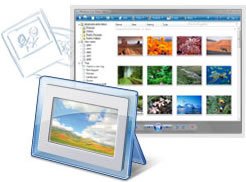 IPB Image