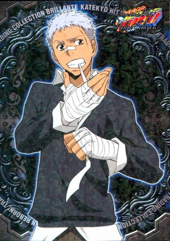 《家庭教师》(Katekyoo Hitman Reborn)四个版