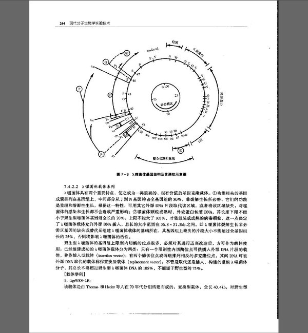 IPB Image