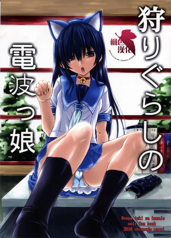 《电波<em>系彼女</em>同人志》[C78][枫色汉化][压缩包