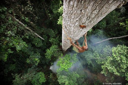 《BBC:人类星球 第一季》(BBC: Human Plane