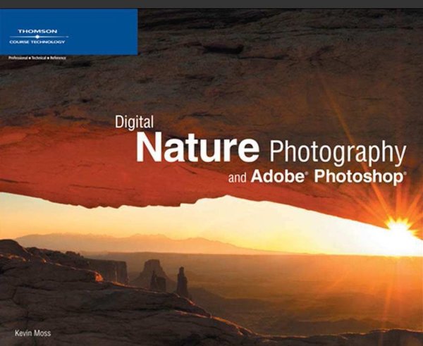 IPB Image