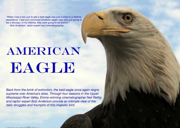 《美国鹰》(pbs nature american eagle)tlf-minisd[hdtvrip]