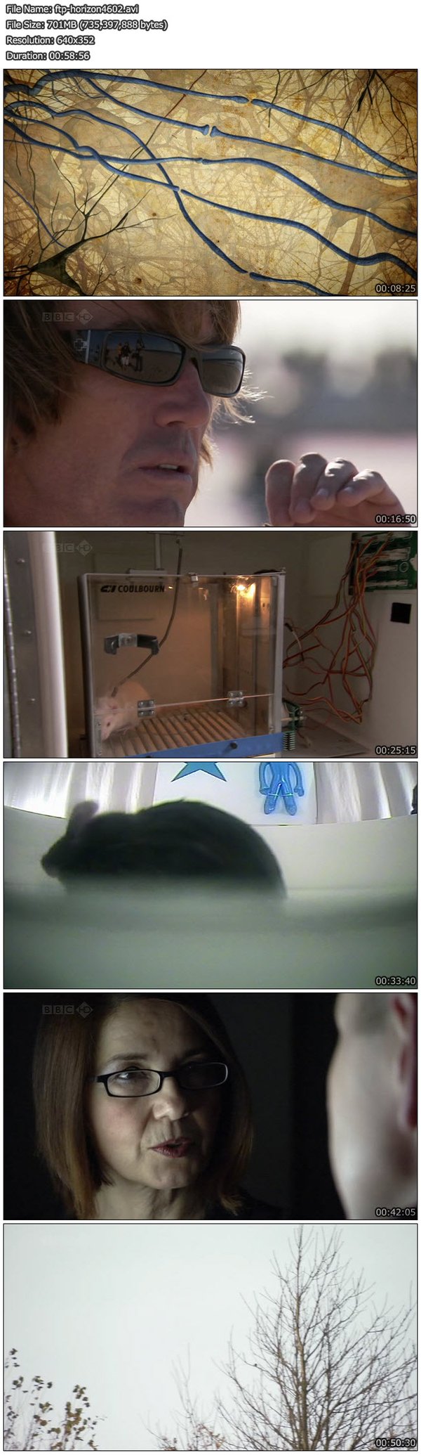 IPB Image