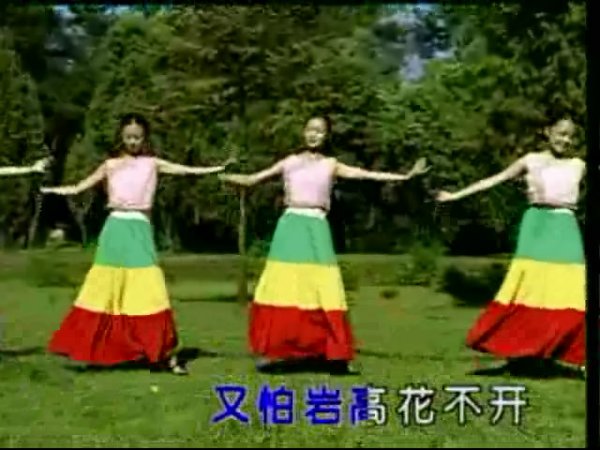 《苗族舞蹈》视频教学[wmv] - verycd电驴大全