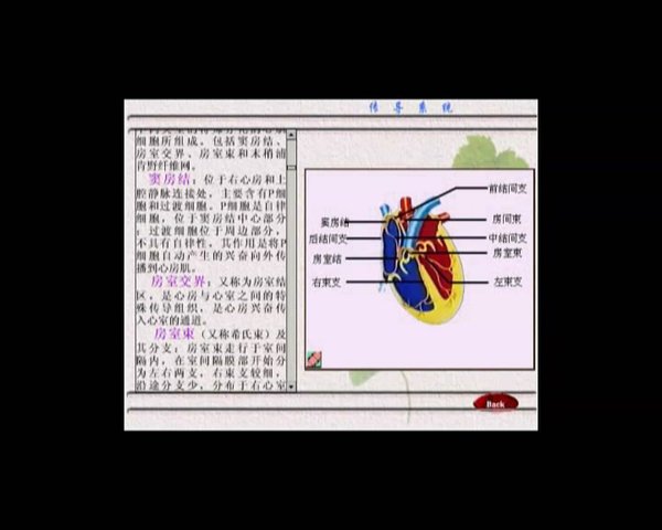 简介: 内容简介: 心电图指的是心脏在每个心动周期中,由起搏点、心房、心室相继兴奋,伴随着心电图生物电的变化,通过心电描记器从体表引出多种形式的电位变化的图形(简称ECG)。心电图是心脏兴奋的发生、传播及恢复过程的客观指标。 心脏周围的组织和体液都能导电,因此可将人体看成为一个具有长、宽、厚三度空间的容积导体。心脏好比电源,无数心肌细胞动作电位变化的总和可以传导并反映到体表。在体表很多点之间存在着电位差 心电图 ,也有很多点彼此之间无电位差是等电的。 心脏电活动按力学原理可归结为一系列的瞬间心电综合
