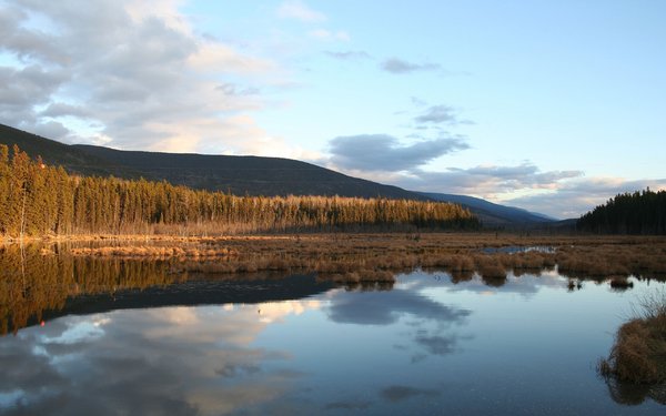 IPB Image