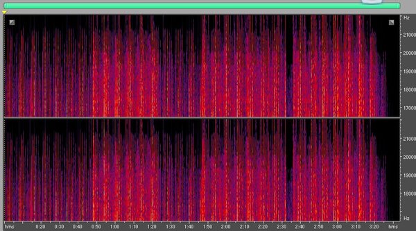 IPB Image