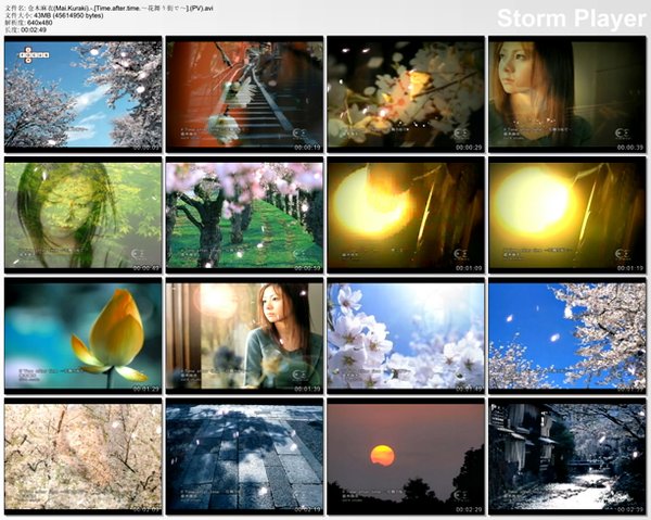 IPB Image