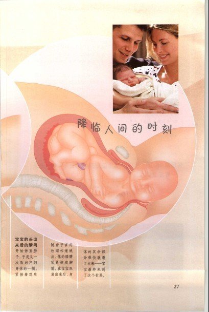 IPB Image