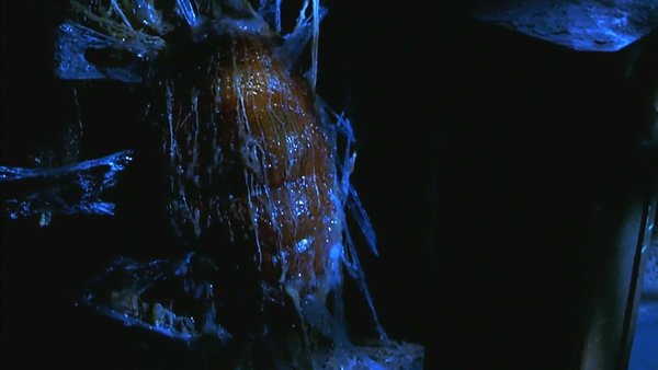 《变种dna》(mimic)[bdrip]_恐怖_电影下载_ed