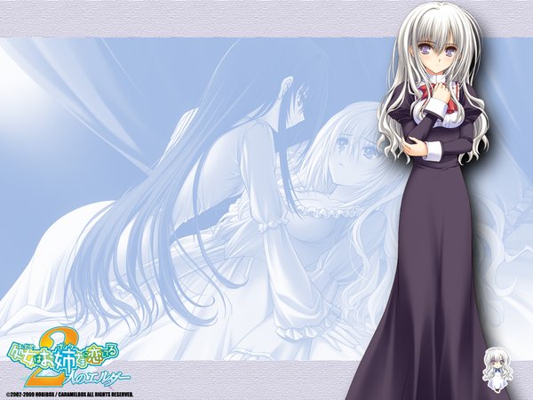 《PC<em>游戏</em> <em>少女爱上姐姐</em> 2人的ELDER声乐集》