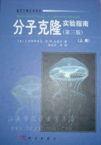 IPB Image