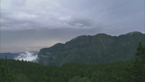 IPB Image