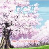 IPB Image