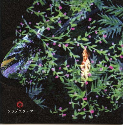 IPB Image