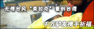 抗击台风,与台湾人民肩并肩! 抗击台风,与台湾人民肩并肩!