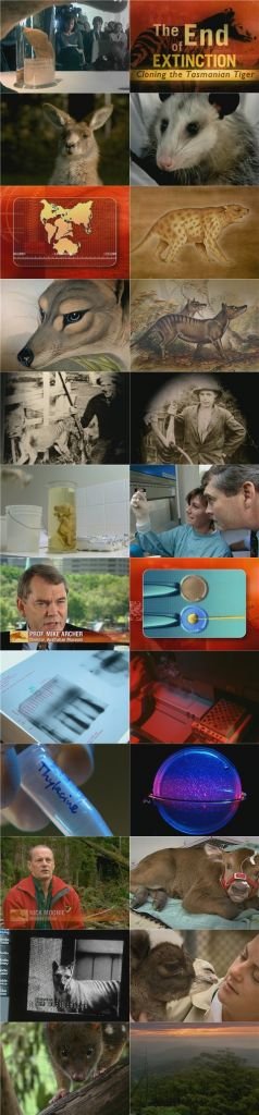 IPB Image