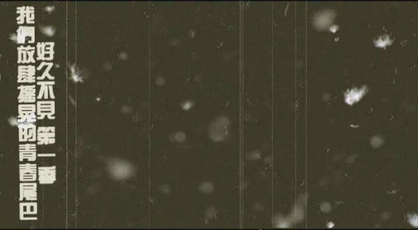 IPB Image