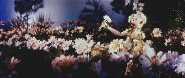 IPB Image