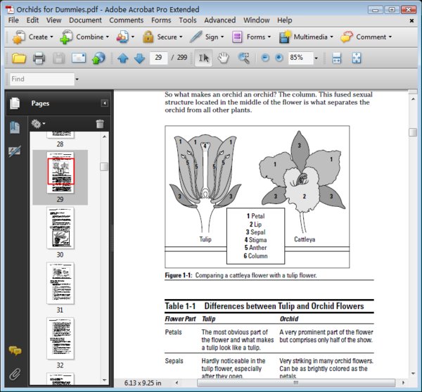 IPB Image
