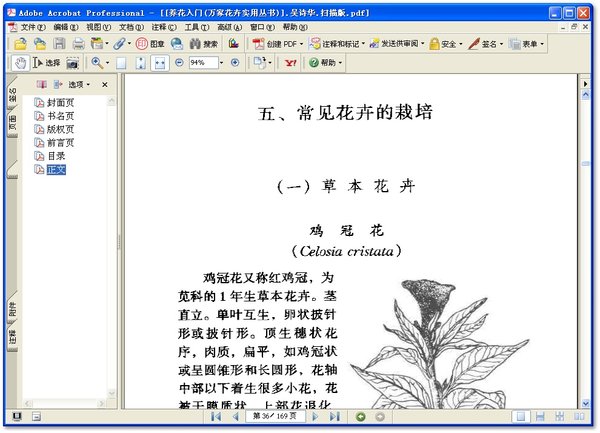 IPB Image