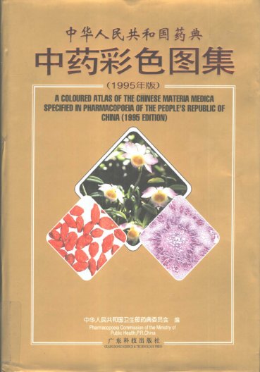 IPB Image