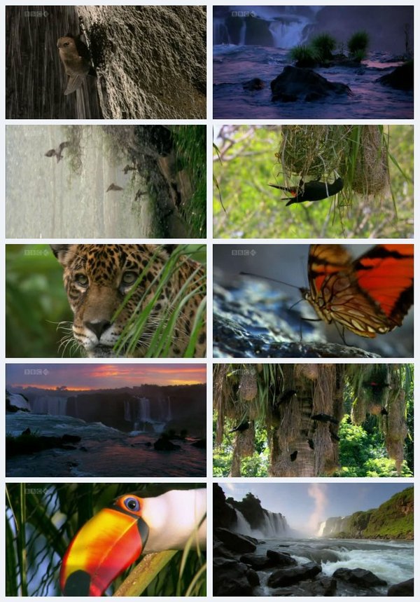IPB Image