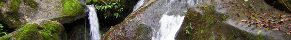 IPB Image