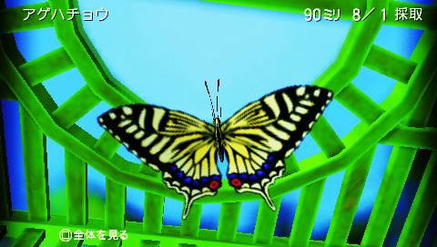 IPB Image