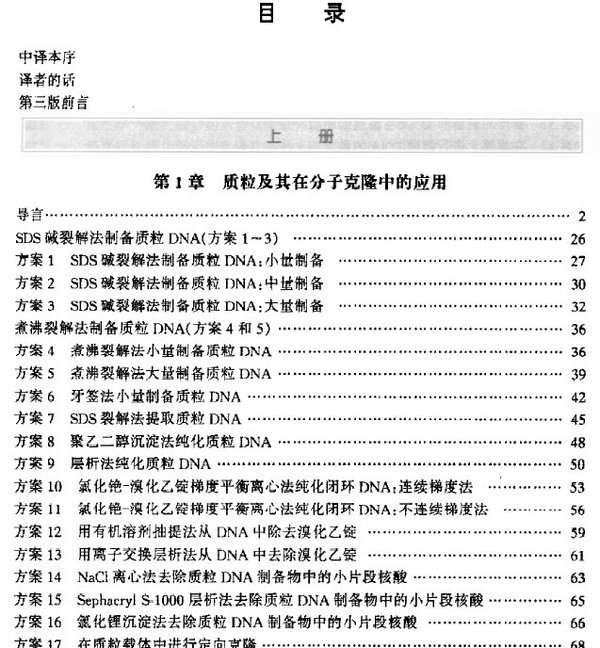 IPB Image