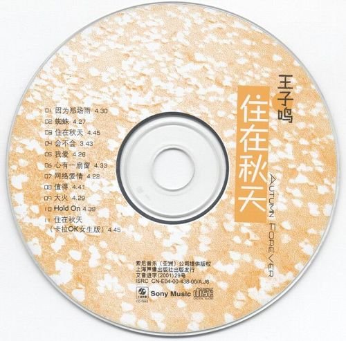 IPB Image