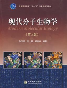 IPB Image