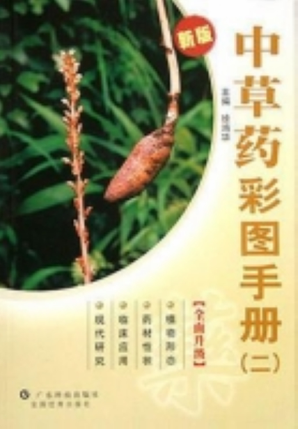 IPB Image