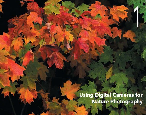 IPB Image