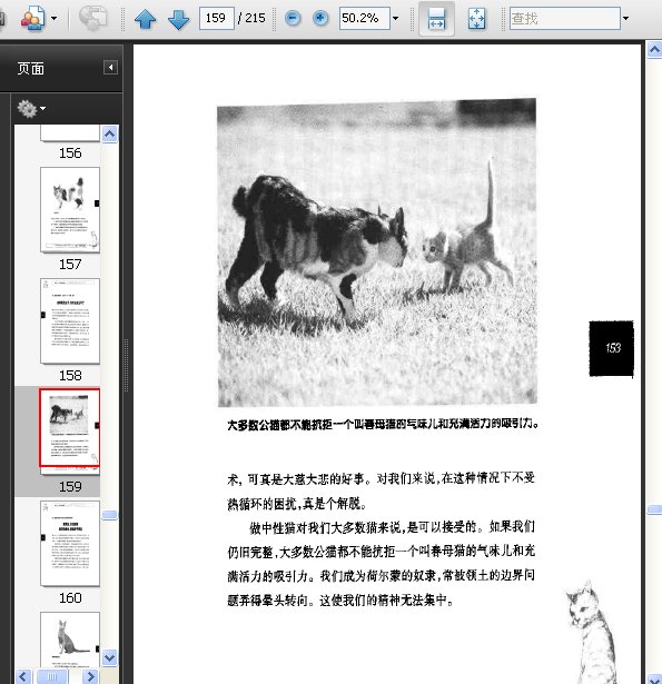 IPB Image