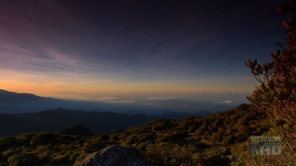 IPB Image