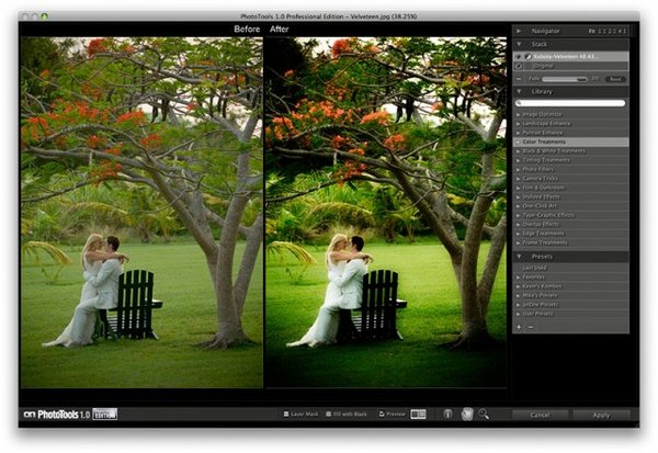 IPB Image