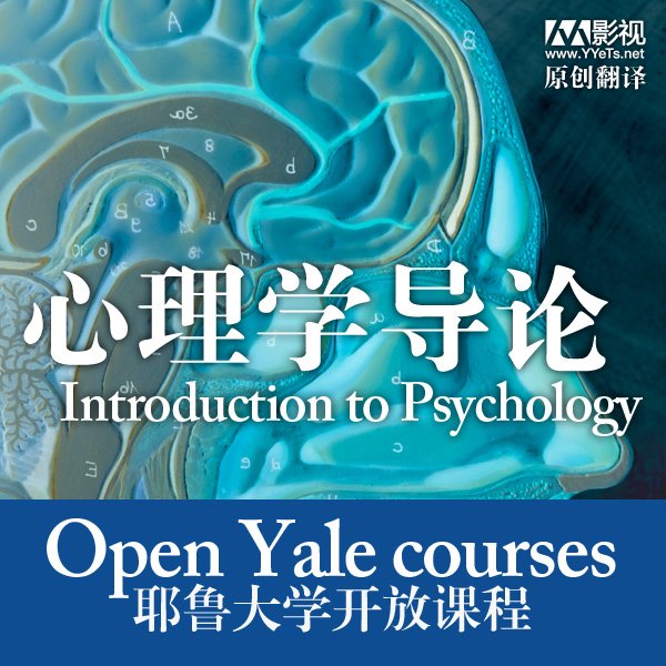 IPB Image