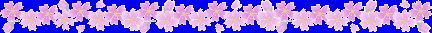 IPB Image