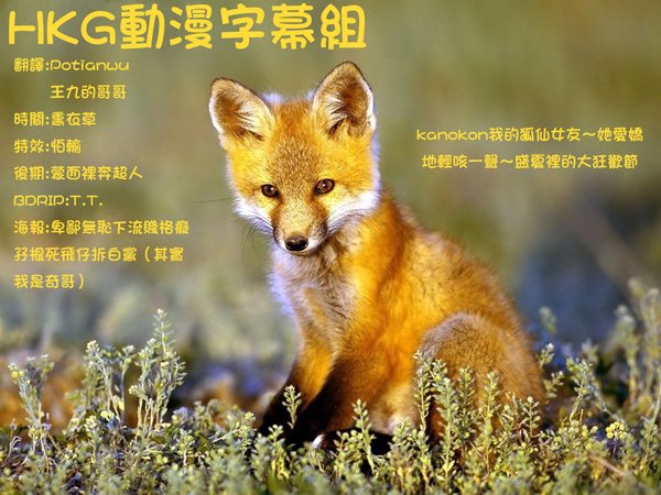 IPB Image