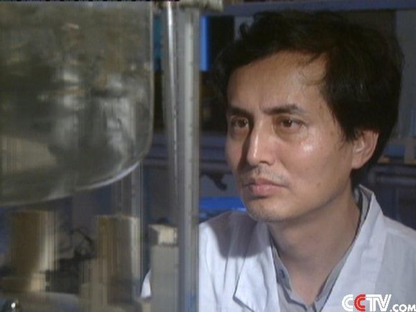 IPB Image