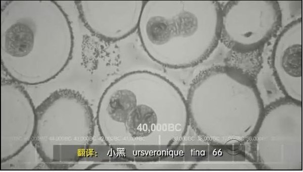 IPB Image